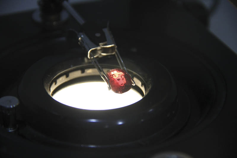 A red gemstone held by stone holder tweezers over the lighted stage of a gemological microscope for inclusion analysis